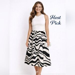 Grace Dane Lewis Silk Zebra Print A-Line Skirt Size 16 Black White